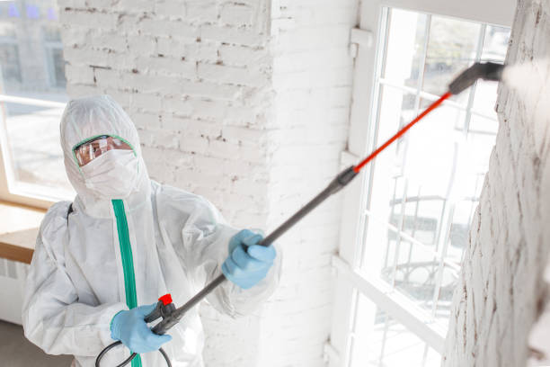 Best Air Quality Testing for Mold Spores  in Pearl City, HI