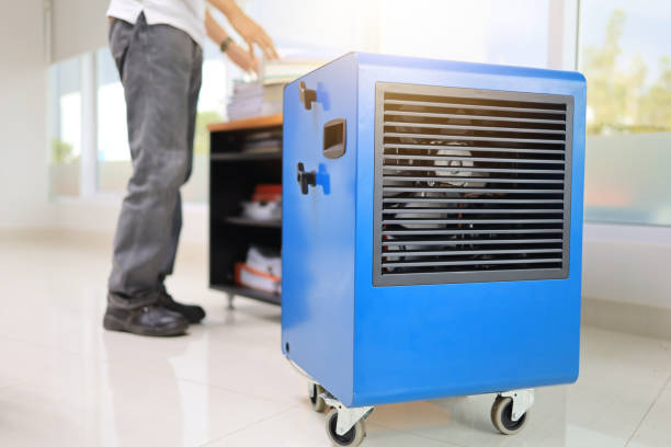 Best Mold-Related Health Consultation  in Pearl City, HI